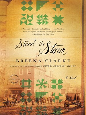 Stand the Storm - ebook